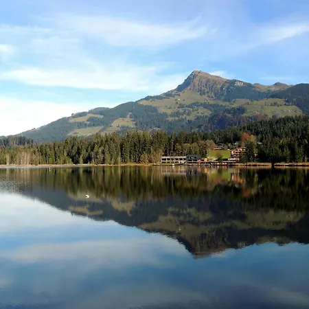 Appartement Bergtraum - Zentral Mit Garten In Kirchberg 아파트 *